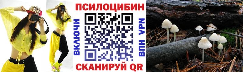 Галлюциногенные грибы Psilocybe  площадка как зайти  Южно-Сухокумск 